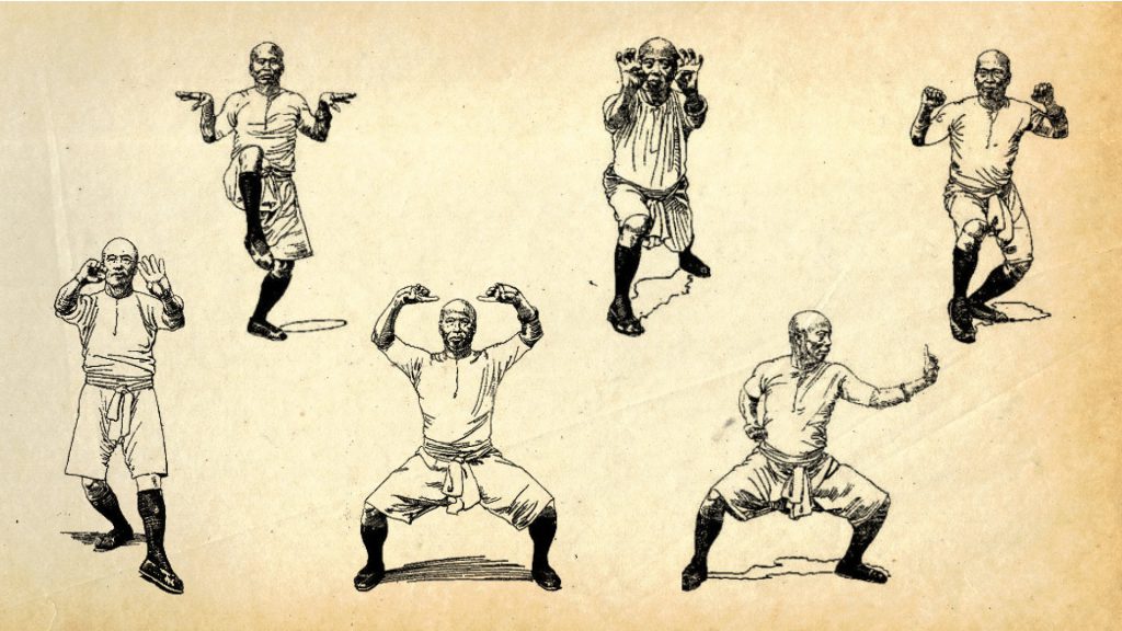 tiger crane double form